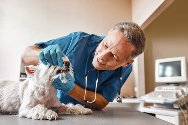 Best Emergency Wisdom Teeth Removal in Rankin, TX